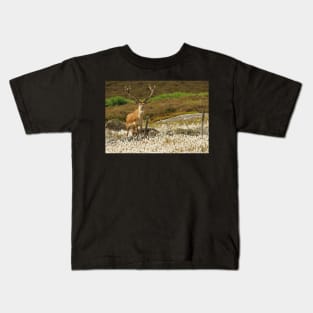 stag in cotton grass peak district Kids T-Shirt